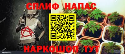 бошки Коммунар